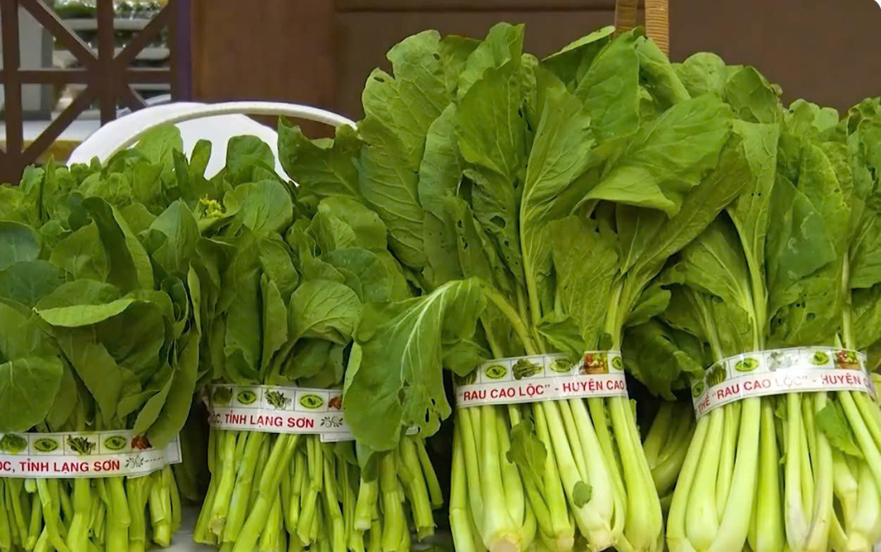 ảnh bài 1 (1).jpg