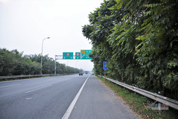 cat tia rung keo mat an toan giao thong doc dai lo thang long 2.jpeg