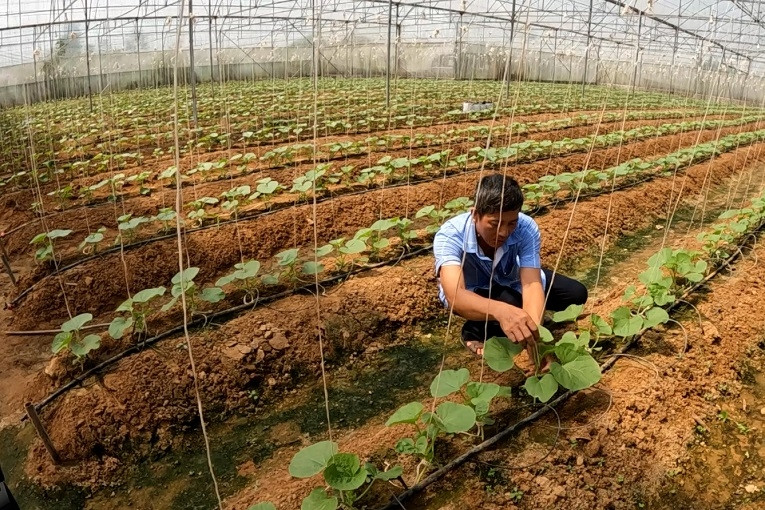 Chuyển đổi số là trụ cột xây dựng nông thôn mới kiểu mẫu, thông minh