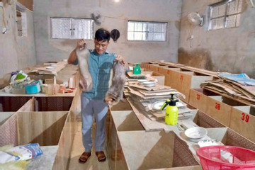 Chuyện khởi nghiệp của chàng trai người Mường: Nếu không dám làm, cái nghèo chẳng buông