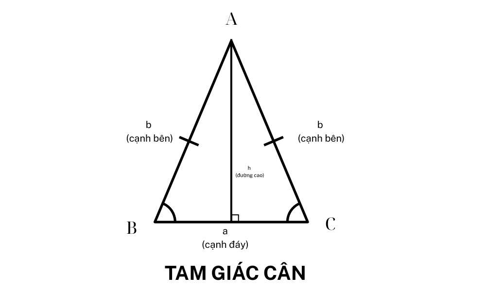 dien tich tam giac can.png