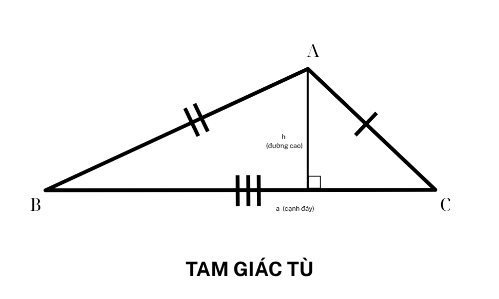 dien tich tam giac tu.png