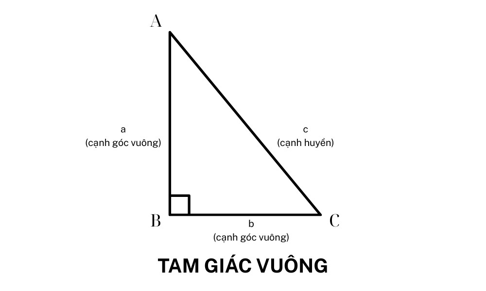 dien tich tam giac vuong.jpg