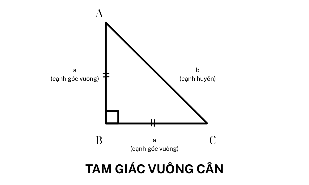 dien tich tam giac vuong can.png