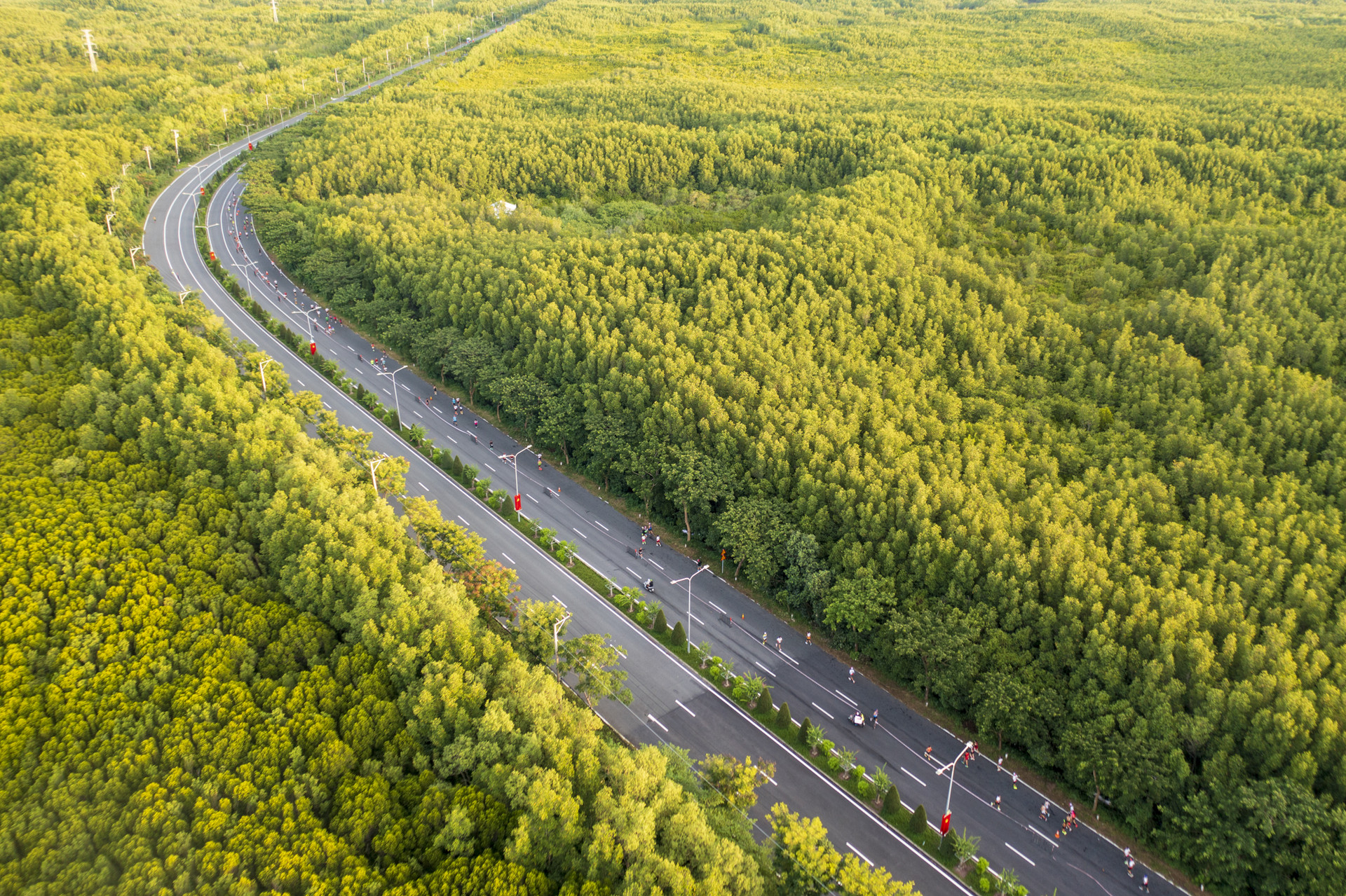 Hình 2_Green Marathon.jpg