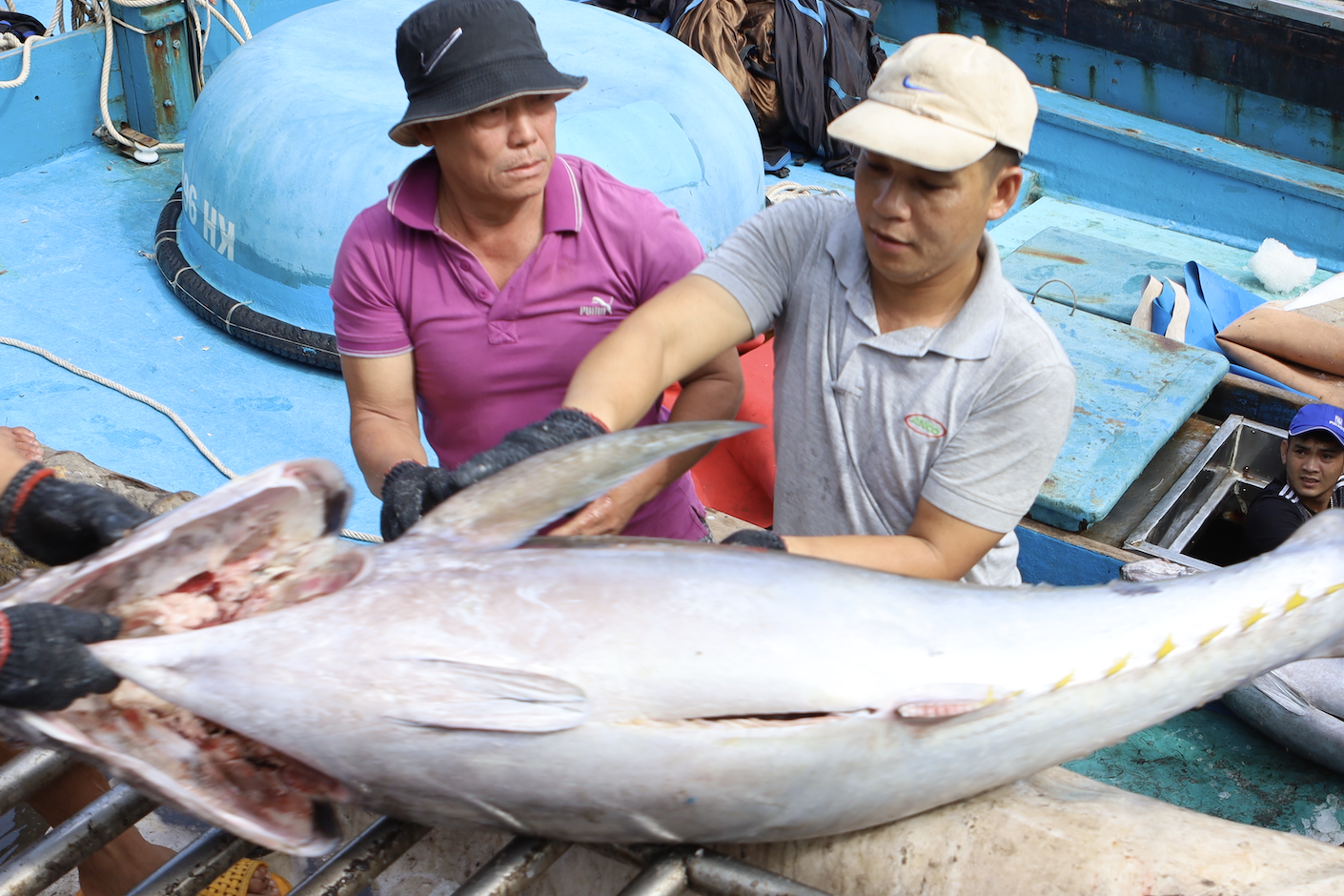 Một số hải sản nguy cơ bị dừng nhập vào Mỹ, Bộ trưởng Công Thương đề nghị ‘cân nhắc lại'