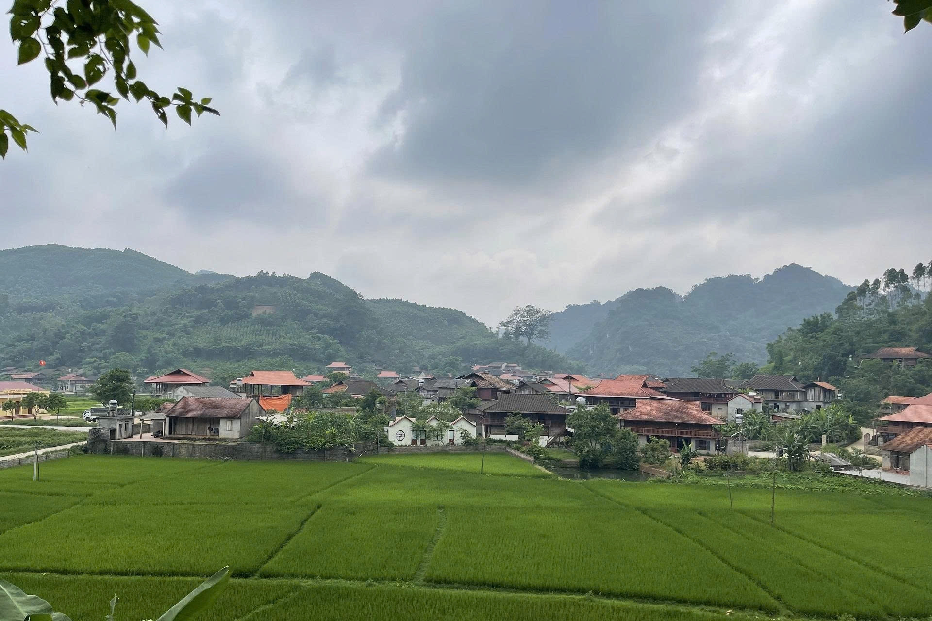 Xã Ba Vì (Hà Nội) phấn đấu đạt chuẩn nông thôn mới kiểu mẫu