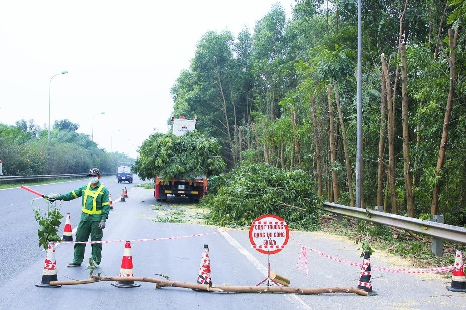 Bản tin sáng 16/9: Cảnh báo mất an toàn khi trồng cây ở dải phân cách cao tốc