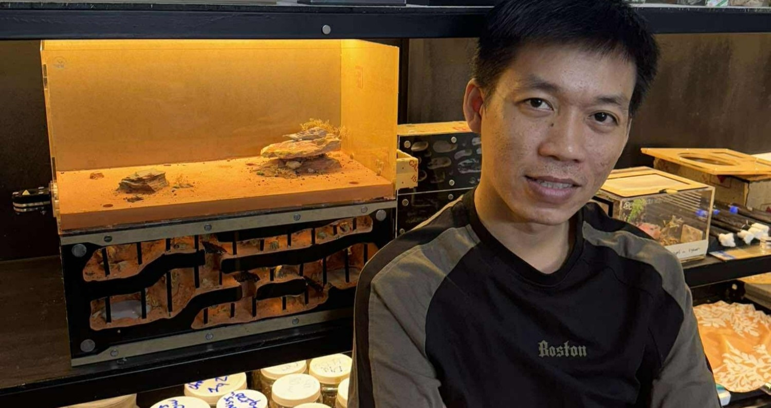 Chàng trai ở TPHCM nuôi hàng trăm đàn kiến làm thú cưng suốt 6 năm