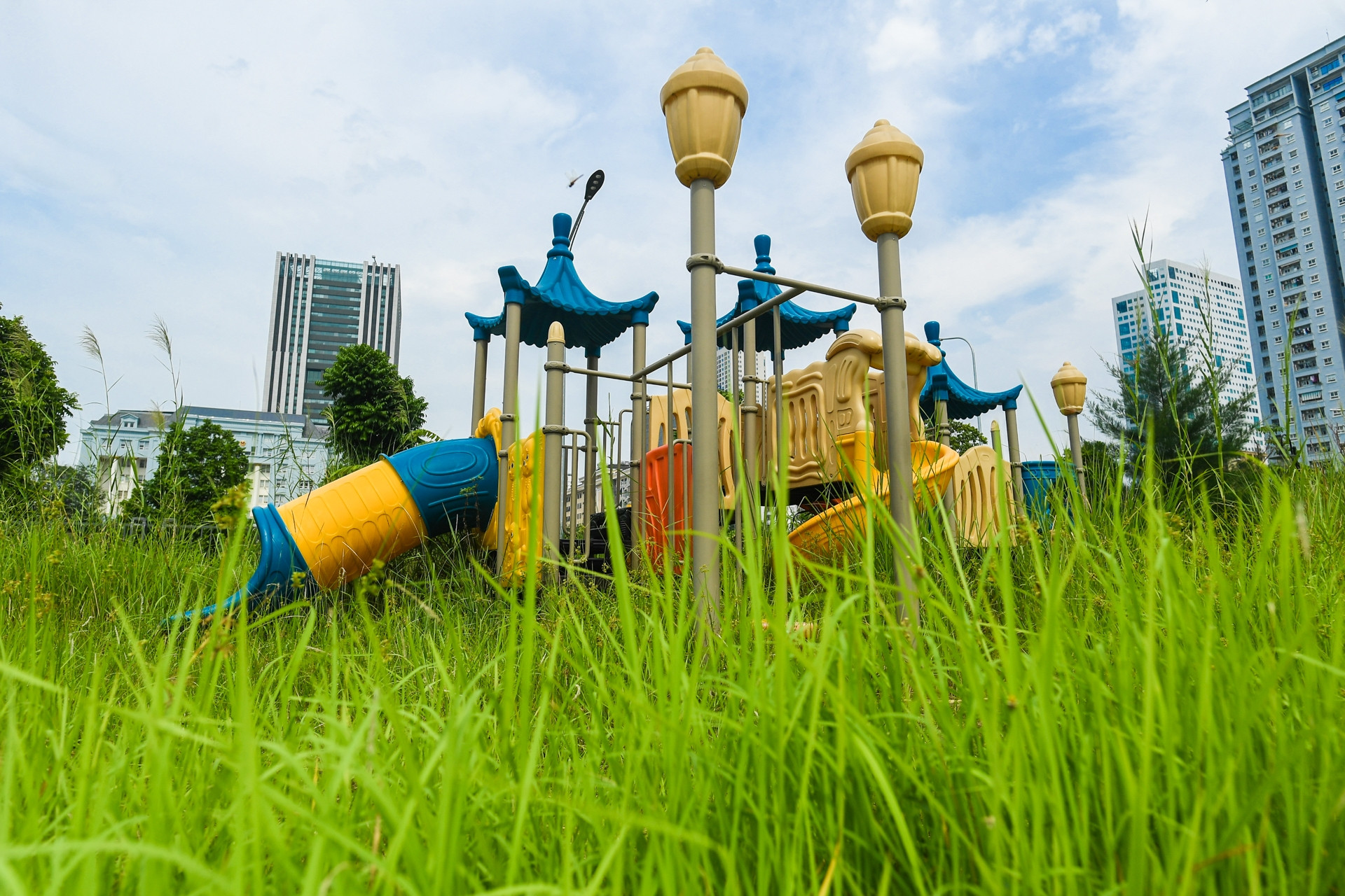 Cỏ dại mọc quá đầu người trong công viên hồ điều hòa 744 tỷ giữa Hà Nội