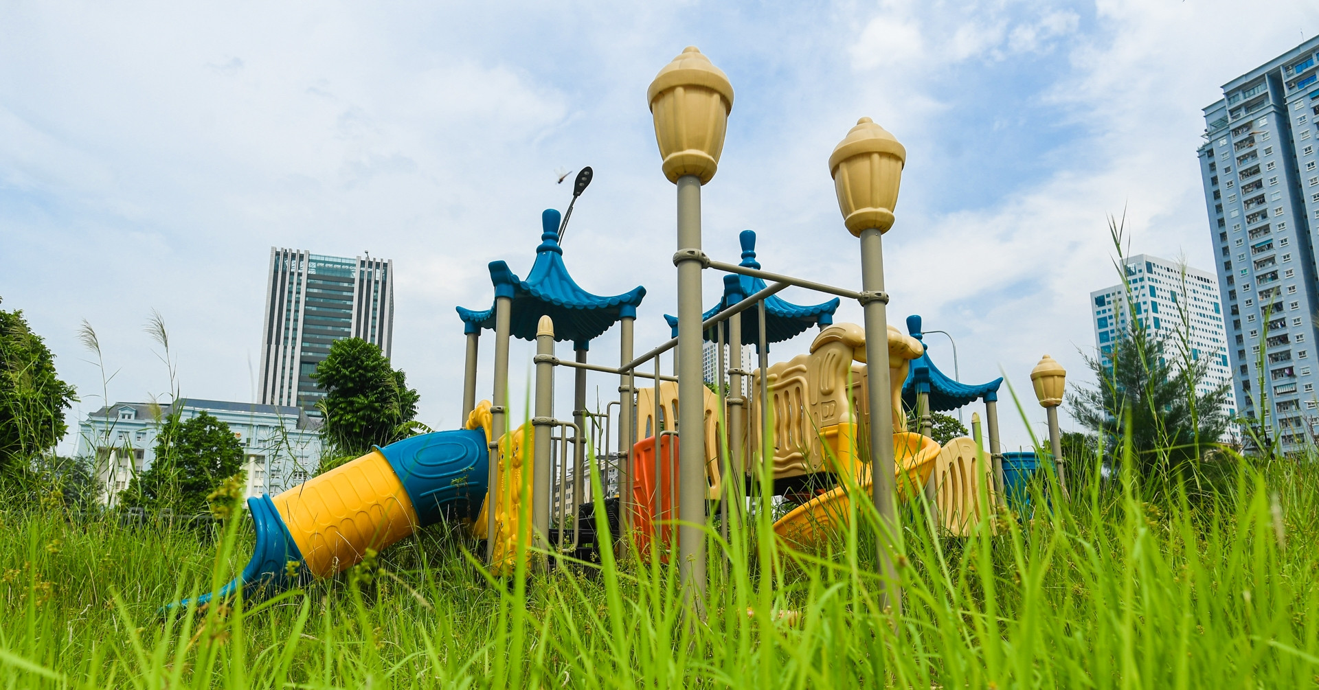 Cỏ dại mọc quá đầu người trong công viên hồ điều hòa 744 tỷ giữa Hà Nội