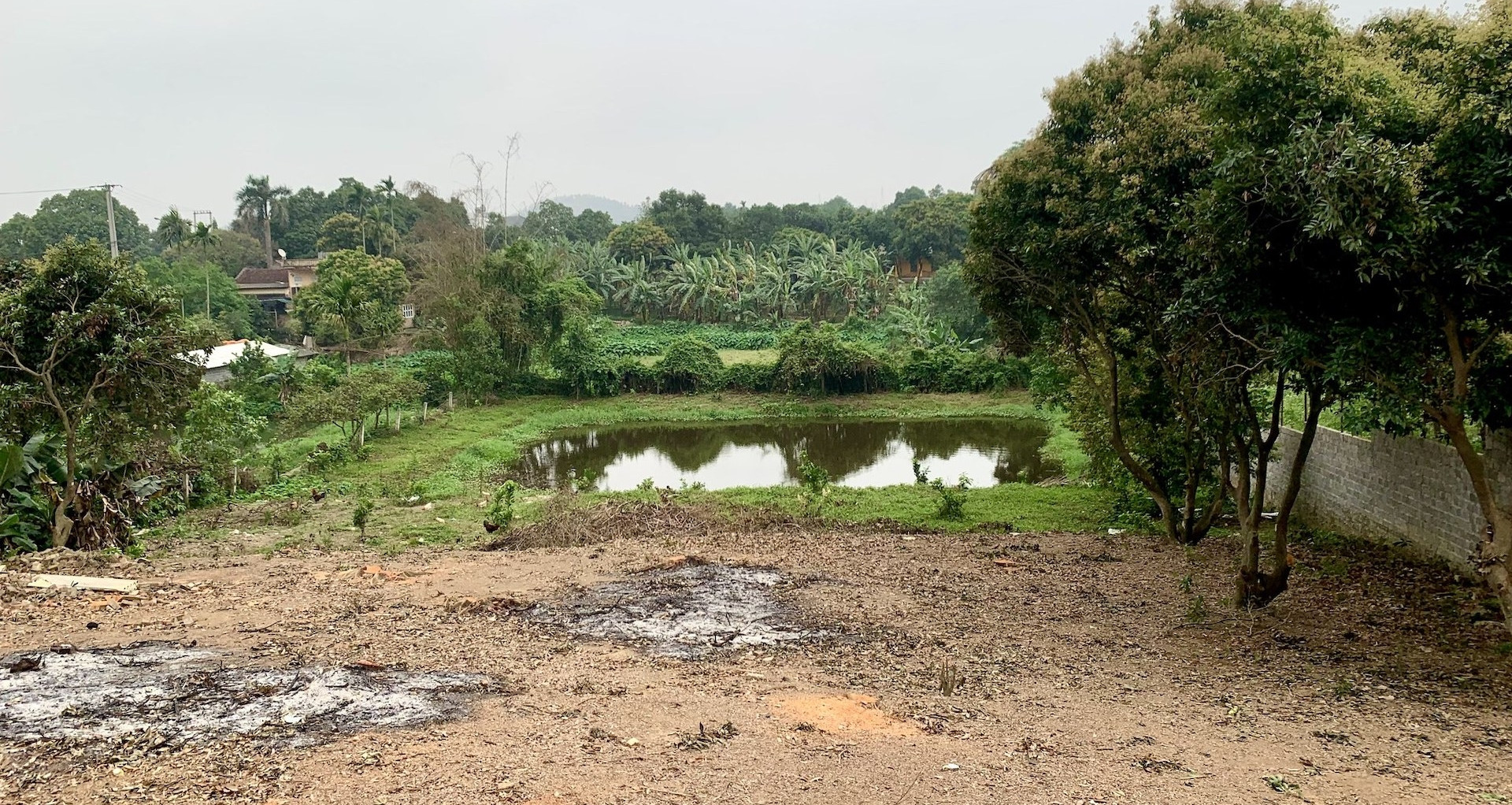 Đất nông nghiệp 300m2, muốn chuyển 100m2 sang đất ở: Thủ tục thế nào?