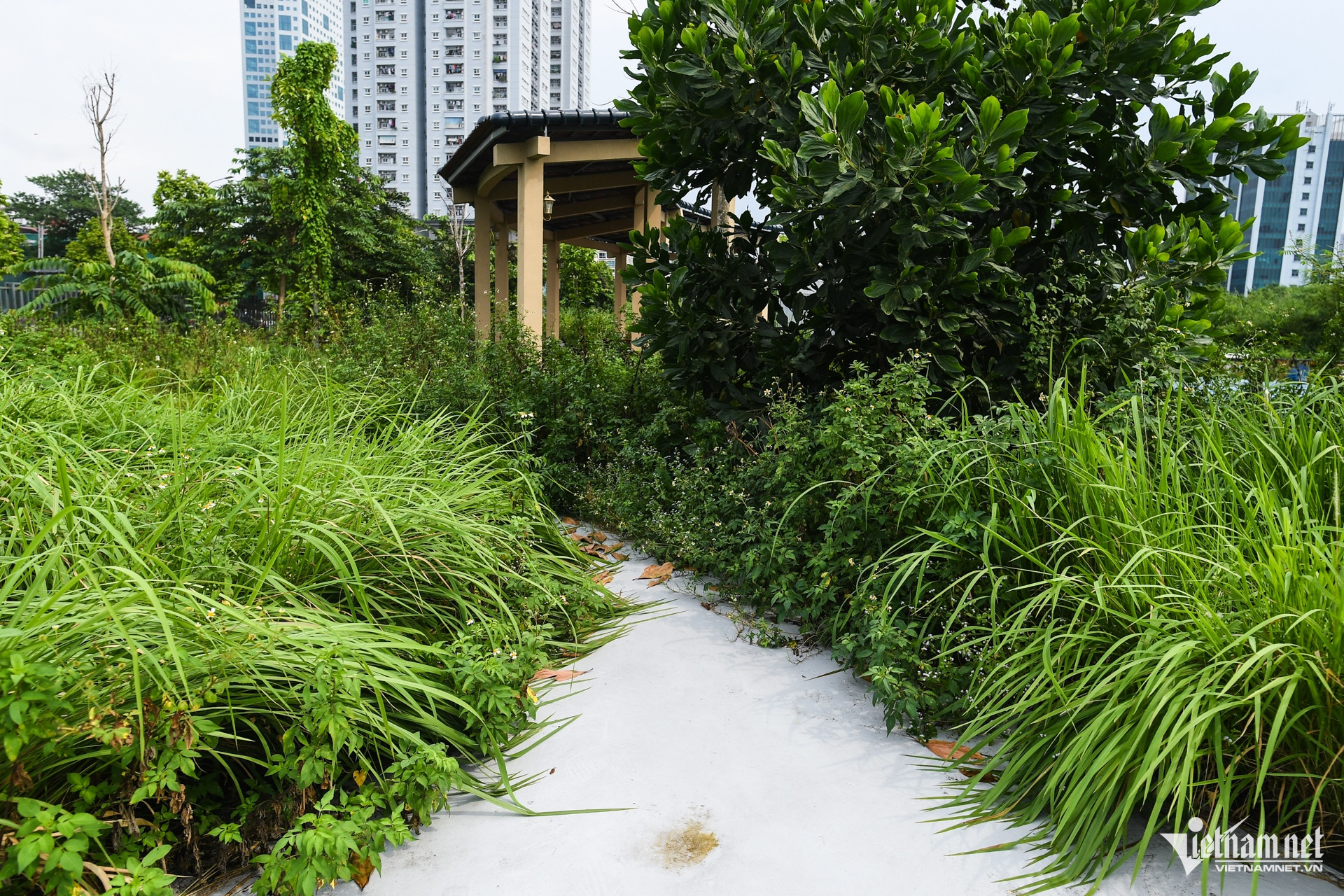 W-Ho dieu hoa Cau Giay 16.jpg