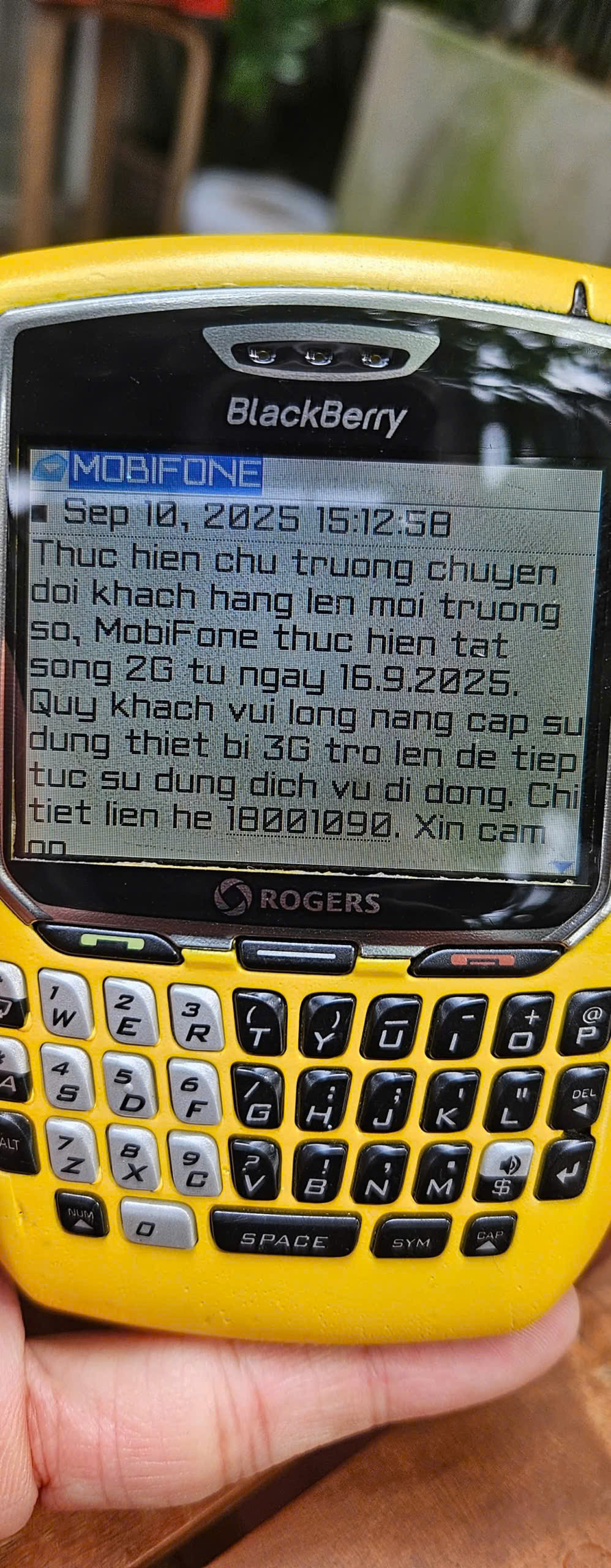 Blackberry.jpg