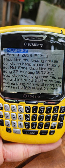 Blackberry.jpg