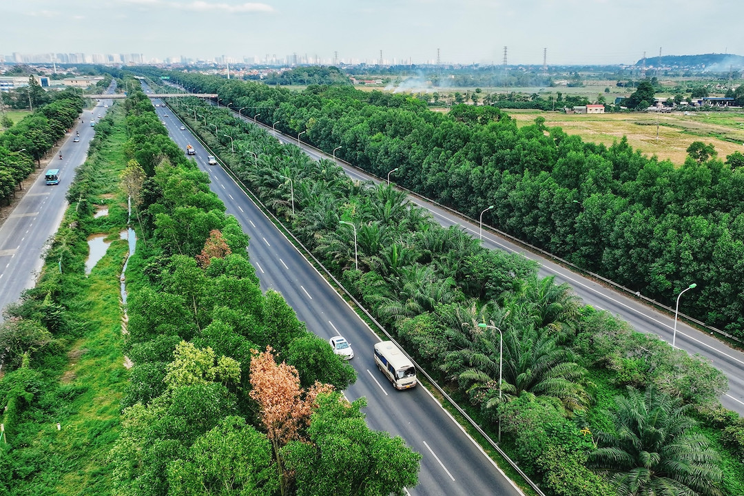 Cục Đường bộ phản hồi Cục CSGT việc 'không trồng cây ở dải phân cách giữa cao tốc'