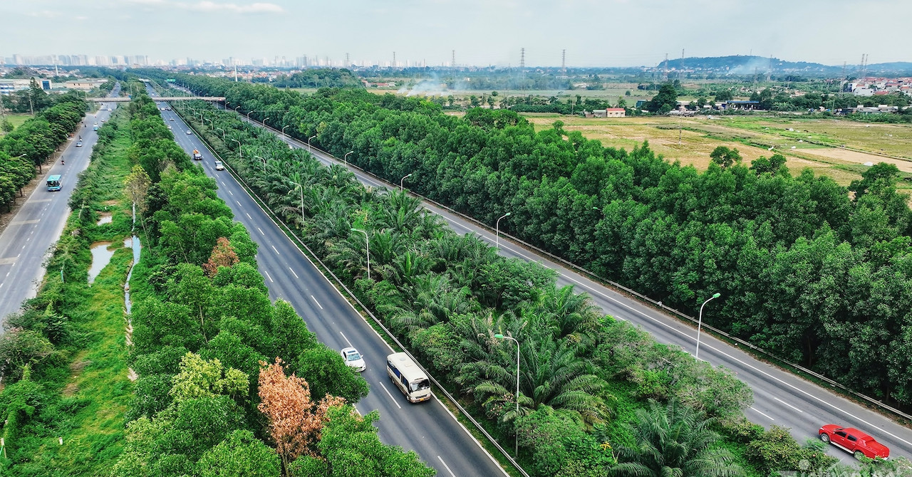 Cục Đường bộ phản hồi Cục CSGT việc &amp;apos;không trồng cây ở dải phân cách giữa cao tốc&amp;apos;