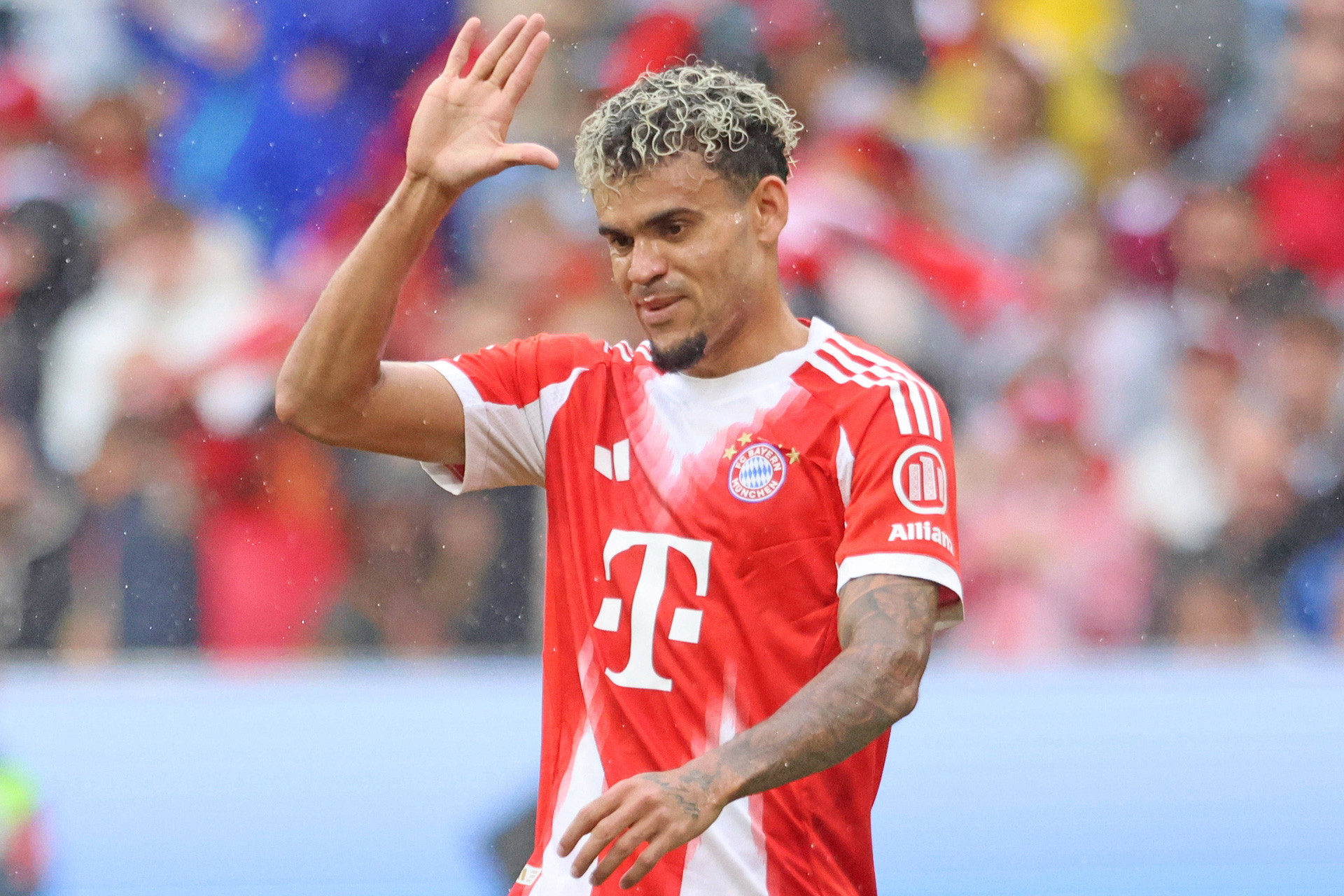 Imago - Luis Diaz.jpg