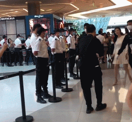 sao hoa ngu lam lo 2.gif