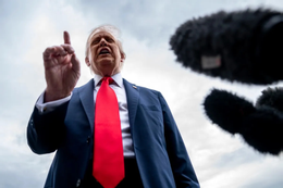 trump bloomberg