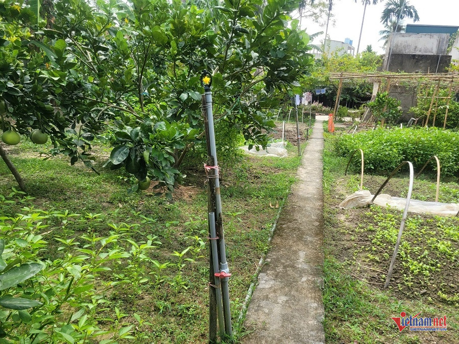 W-cbff9fc3 fa2b 42e0 97dc 5281479342e2.jpg