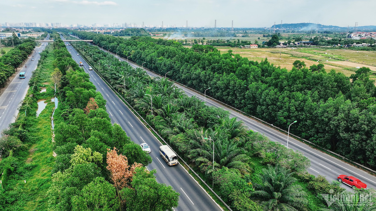 w dai lo1 1 3146.jpg