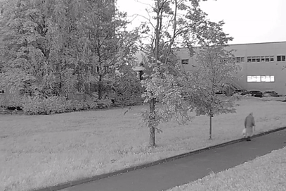 Kịch tính vụ Nga bắt giữ nam giới cải trang thành cụ bà để đi đánh bom