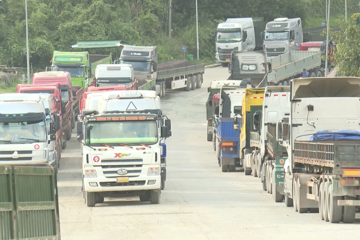 Phái đoàn Việt Nam tại Geneva: Cập nhật kinh nghiệm quốc tế và thực tiễn giải quyết tranh chấp liên quan đến xuất xứ