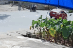 Sang đường thiếu quan sát, người phụ nữ đi xe máy may mắn thoát nạn