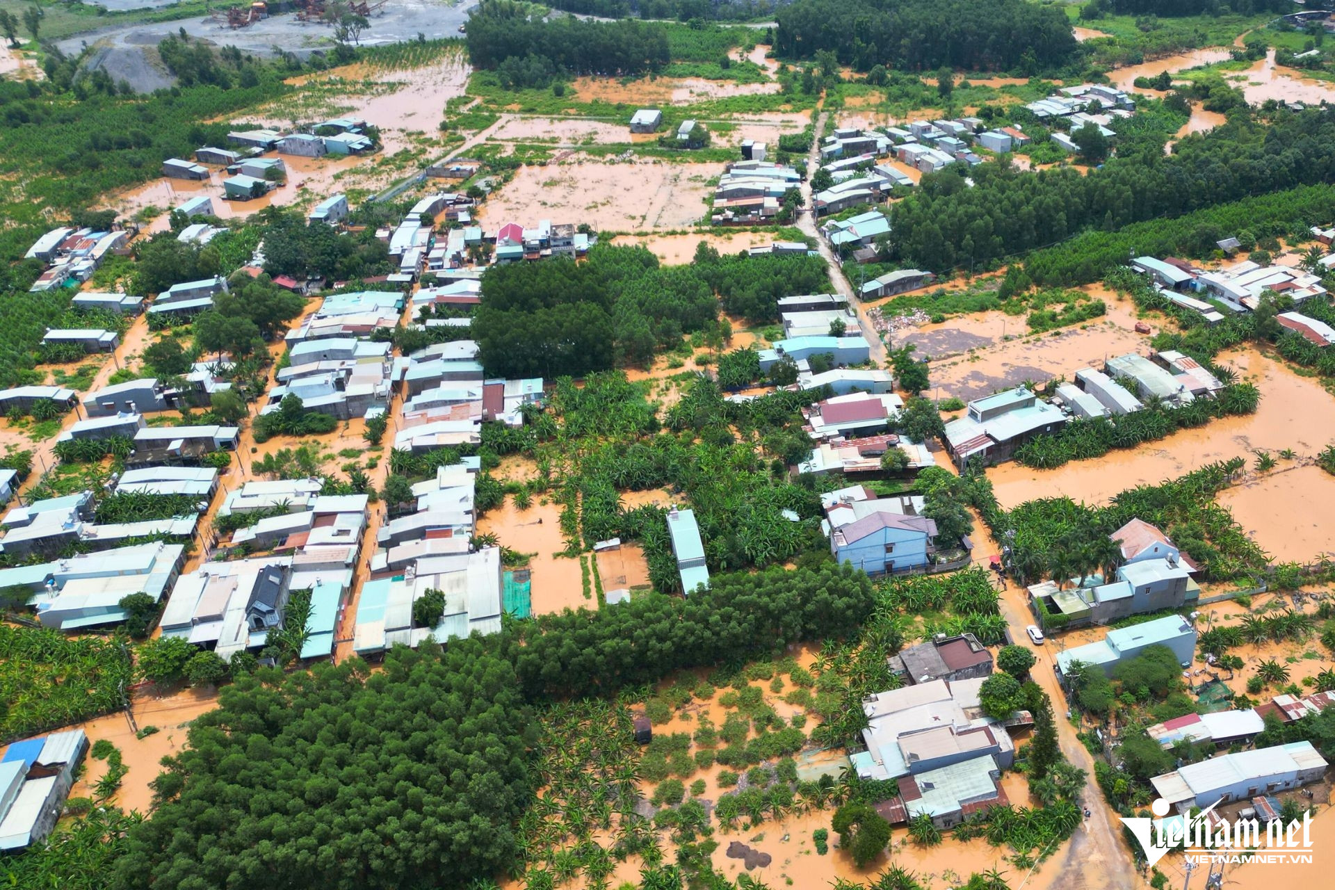 W-ngap phuoc tan2.jpg