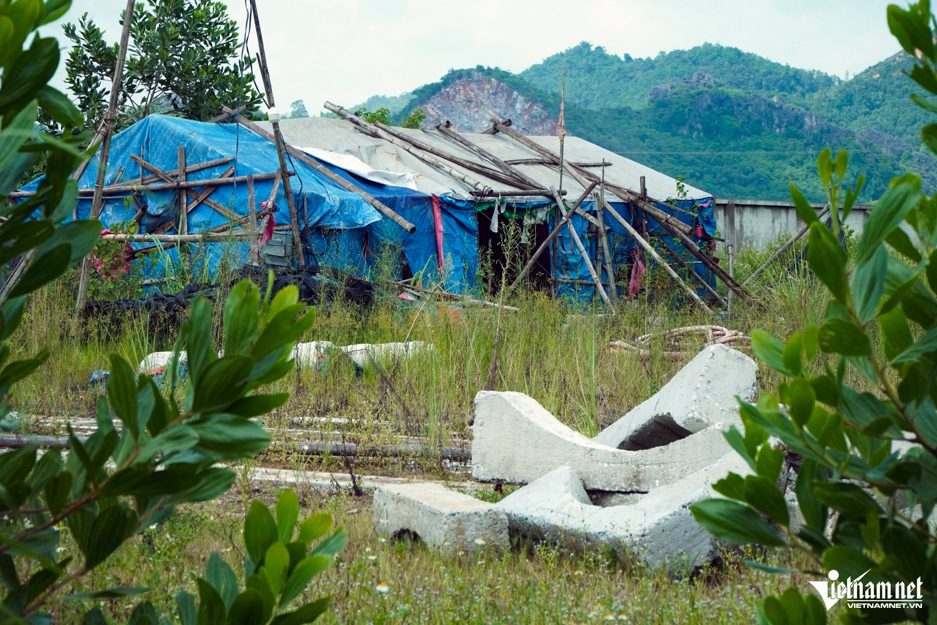 a6co moc um tum o school mam nonjpg 1951.jpg