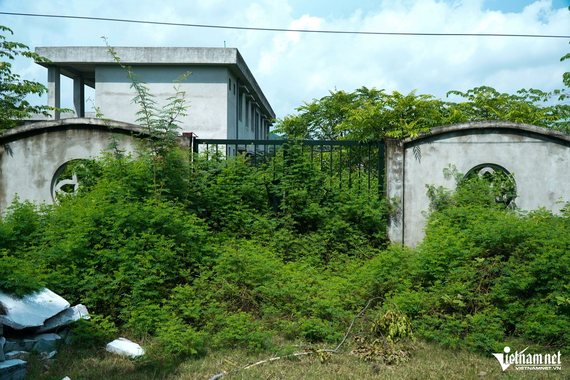 a7co moc um tum o school mam nonjpg 1950.jpg