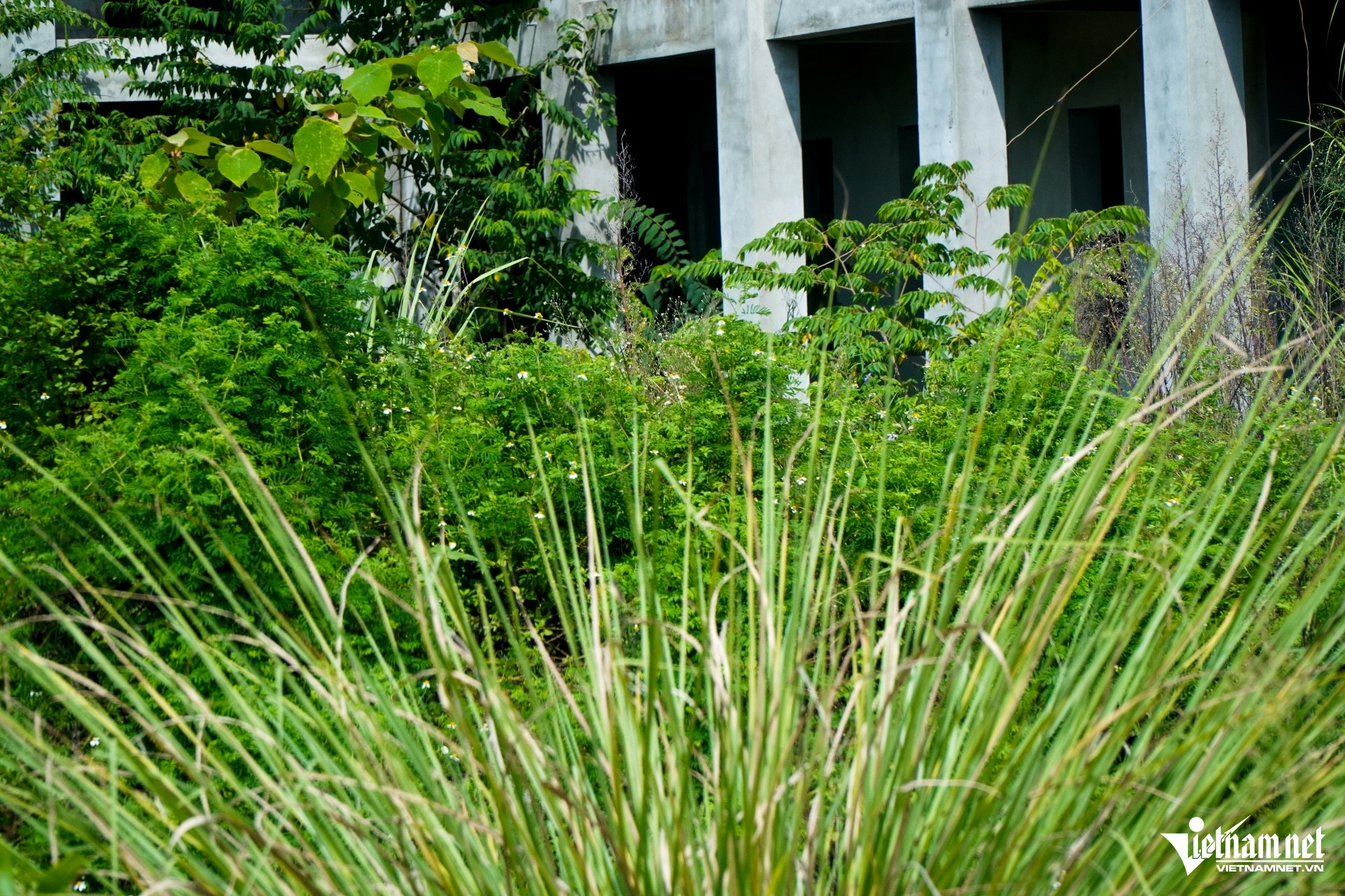 a8co moc um tum o school mam nonjpg 1946.jpg