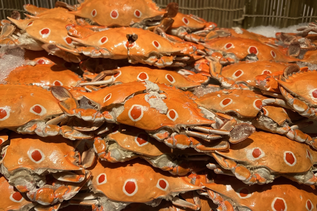 Cả nhà nhập viện sau khi ăn cua tự chế biến, người vợ nguy kịch