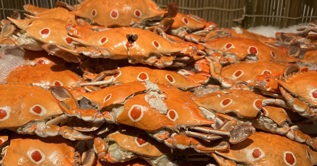 Cả nhà nhập viện sau khi ăn cua tự chế biến, người vợ nguy kịch