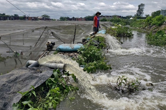 Chỉ sau một cơn mưa, vườn rau của nông dân TPHCM tan hoang như chưa từng tồn tại