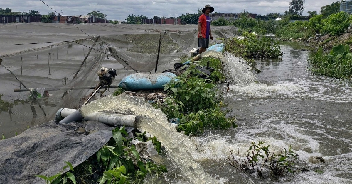 Chỉ sau một cơn mưa, vườn rau của nông dân TPHCM tan hoang như chưa từng tồn tại