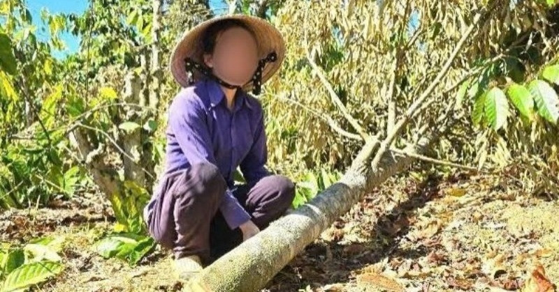 Diễn biến bất ngờ vụ anh rể phá hoại vườn cây của em vợ vì &amp;apos;mâu thuẫn tình cảm&amp;apos;