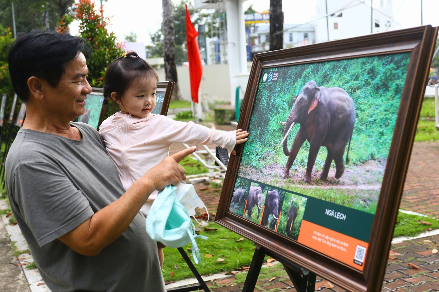 Những hình ảnh hé lộ đời sống đàn voi giữa rừng xanh ở Đồng Nai