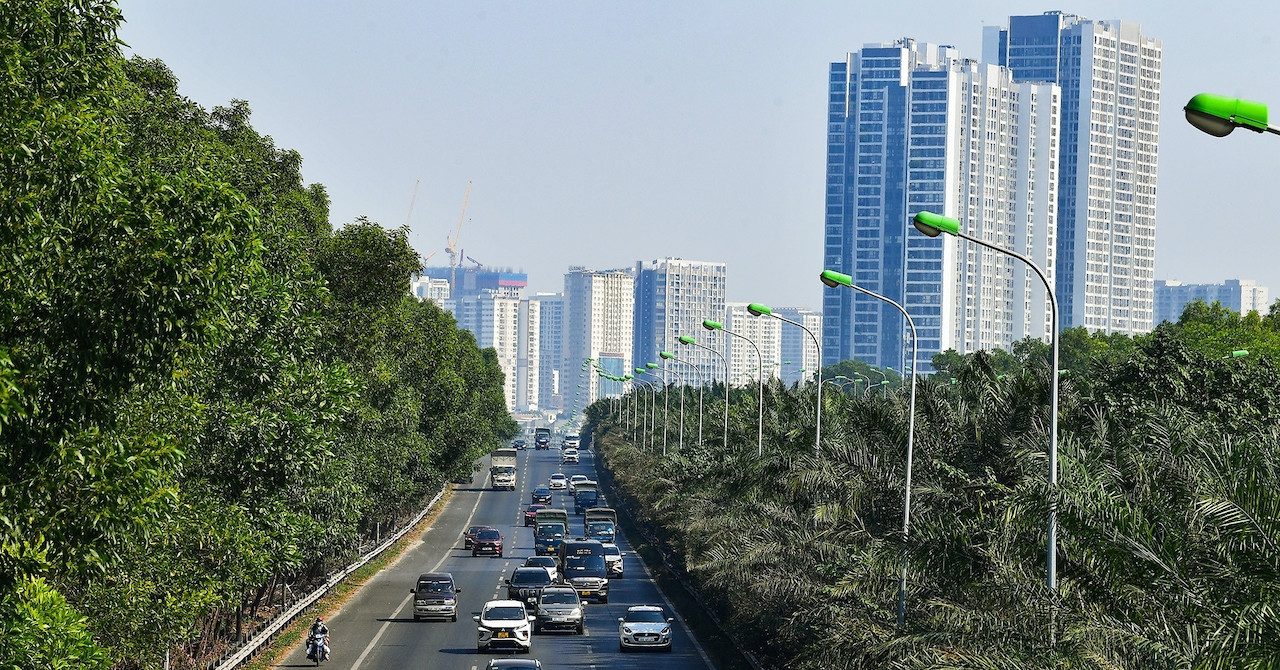 Trồng được 1 cây xanh trên cao tốc rất khó, sao lại bỏ đi?