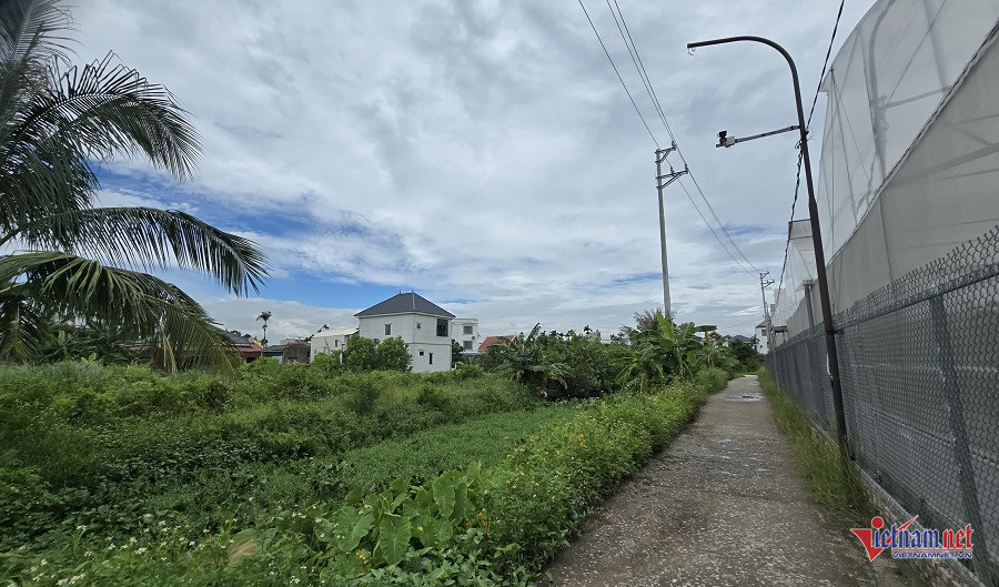 W-0fbdb2d5 f9b0 49cd 949e f41ad6647e54.jpg