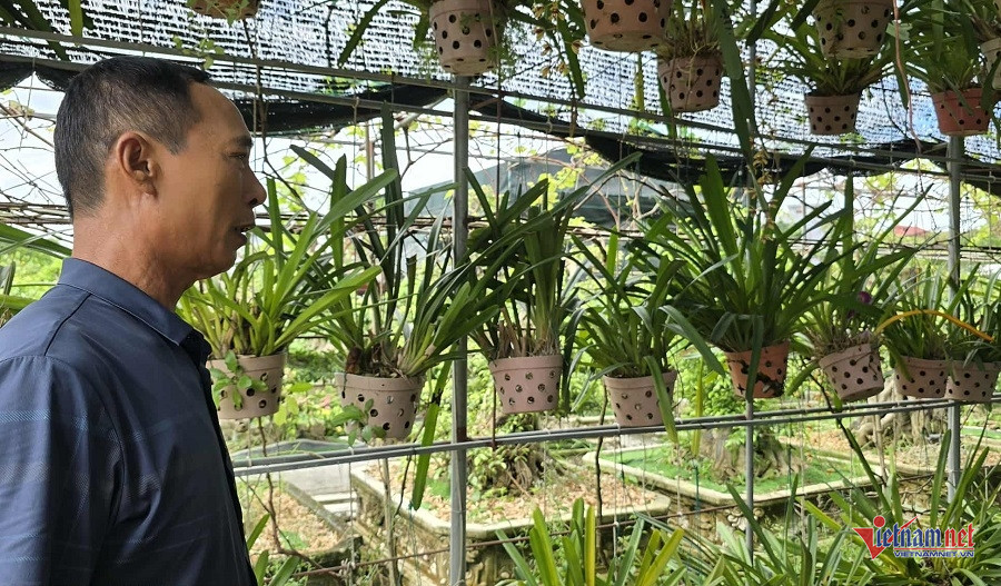 W-279355d7 4c84 49c7 982a bec1828de1a7.jpg