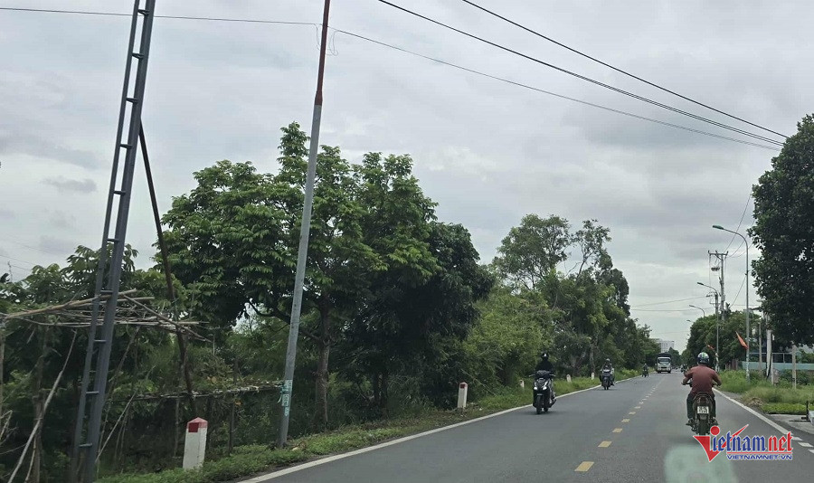 W-728ff8c0 aced 4a39 bddc 05c4a6a90d3e.jpg