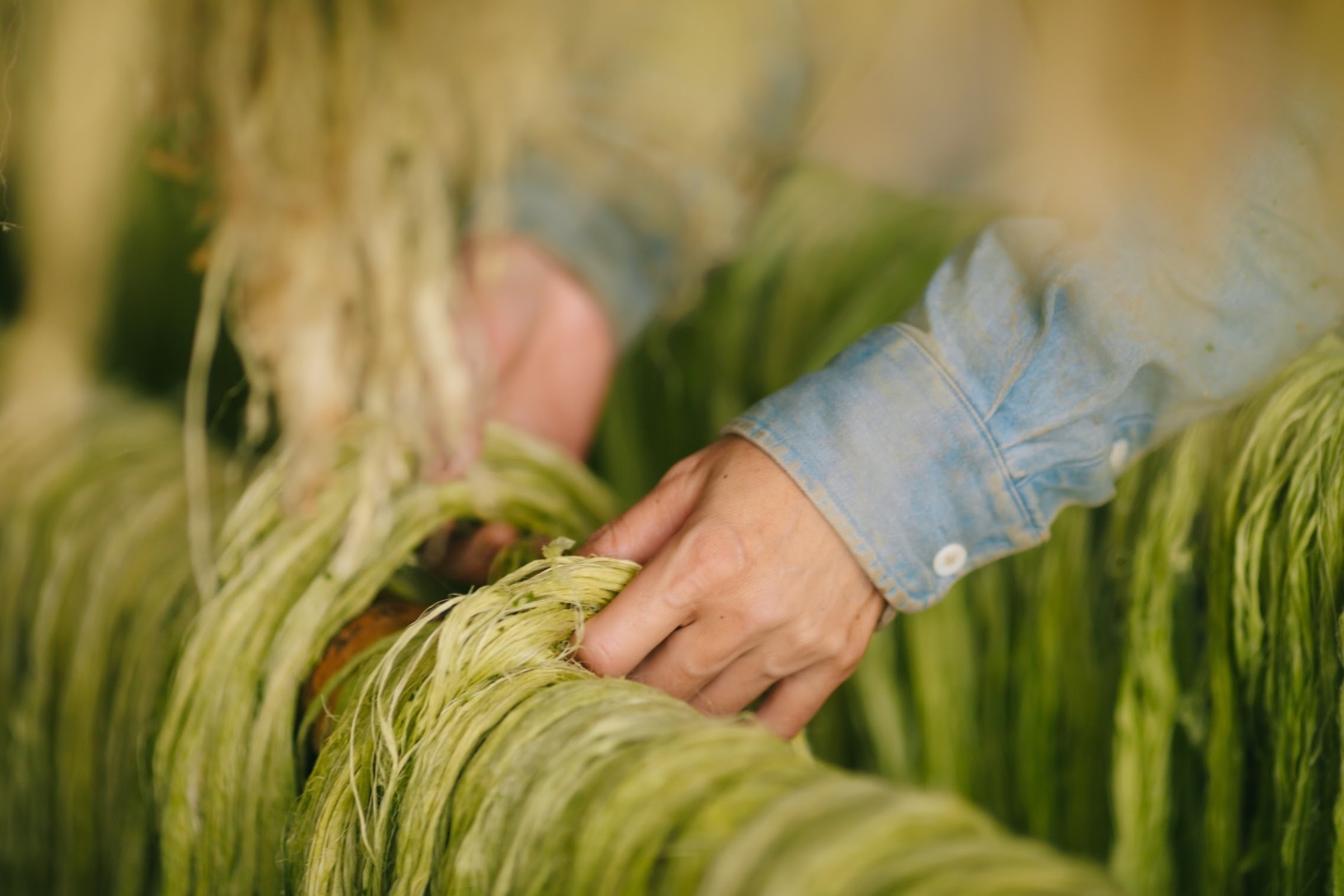 Giây phút chết lặng trên đồng dứa và quyết định khởi nghiệp của nữ giảng viên