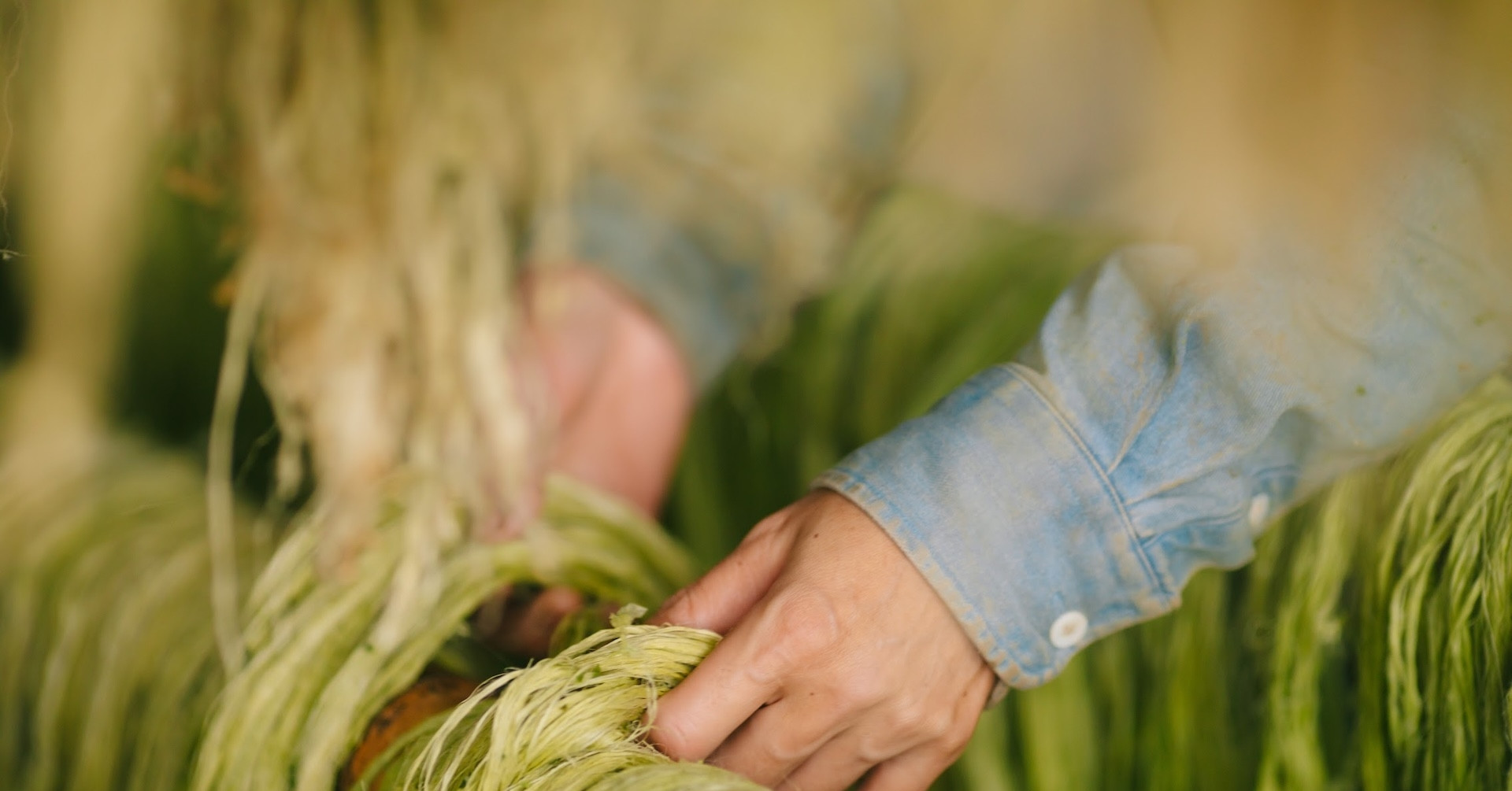 Giây phút chết lặng trên đồng dứa và quyết định khởi nghiệp của nữ giảng viên