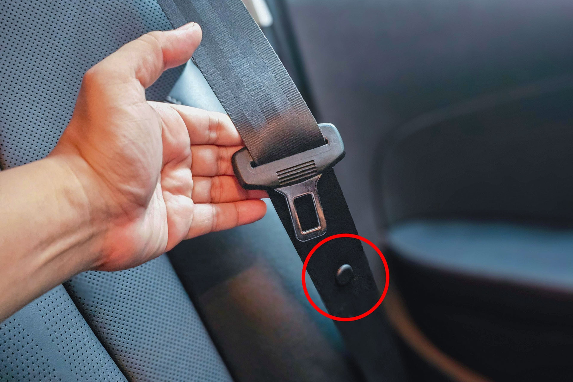 Nút nhựa nhỏ trên dây đai an toàn ô tô có tác dụng gì?