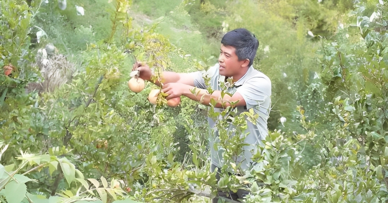 Ba ‘chìa khóa vàng’ giúp ngôi làng nhỏ thoát nghèo, làm được điều không tưởng