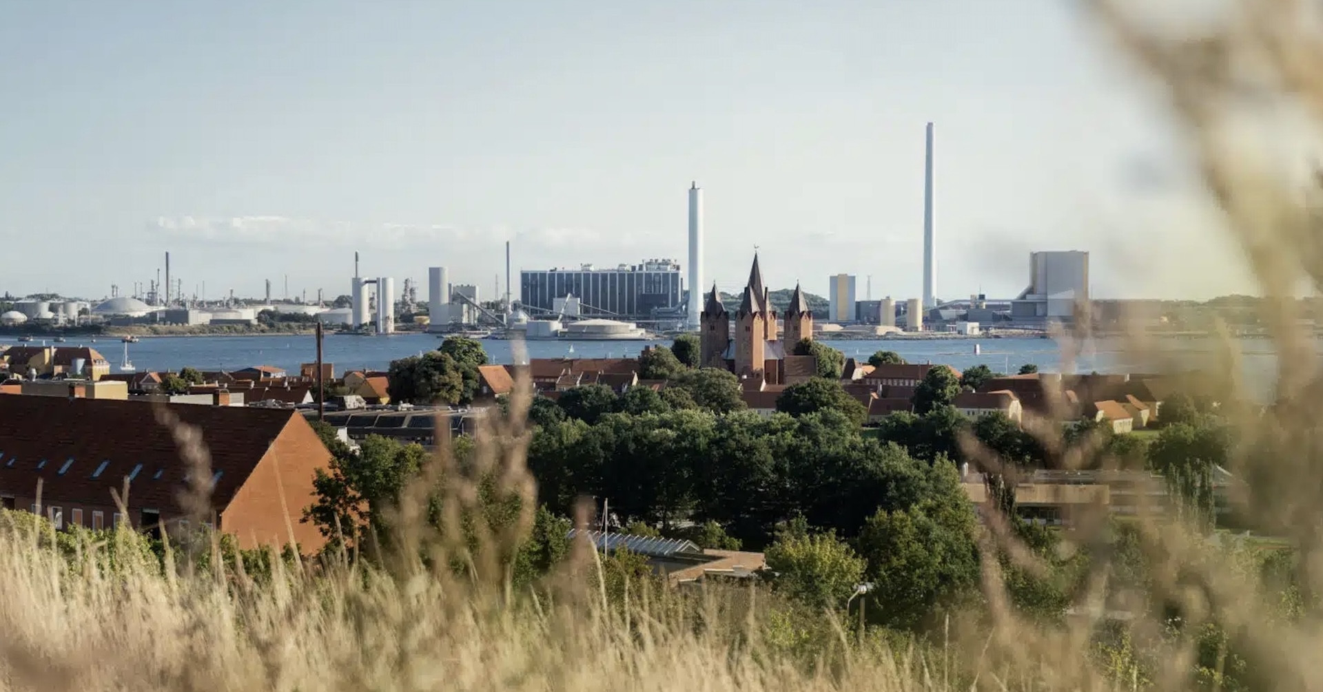 Lợi nhuận khổng lồ từ mô hình ít ai ngờ tới