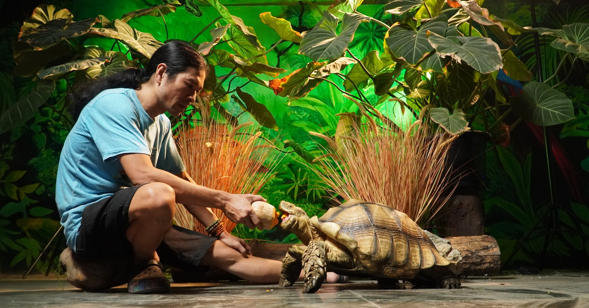 Người đàn ông ở Hà Nội nuôi thú cưng &amp;apos;khổng lồ&amp;apos;, mỗi bữa tốn vài cân thức ăn