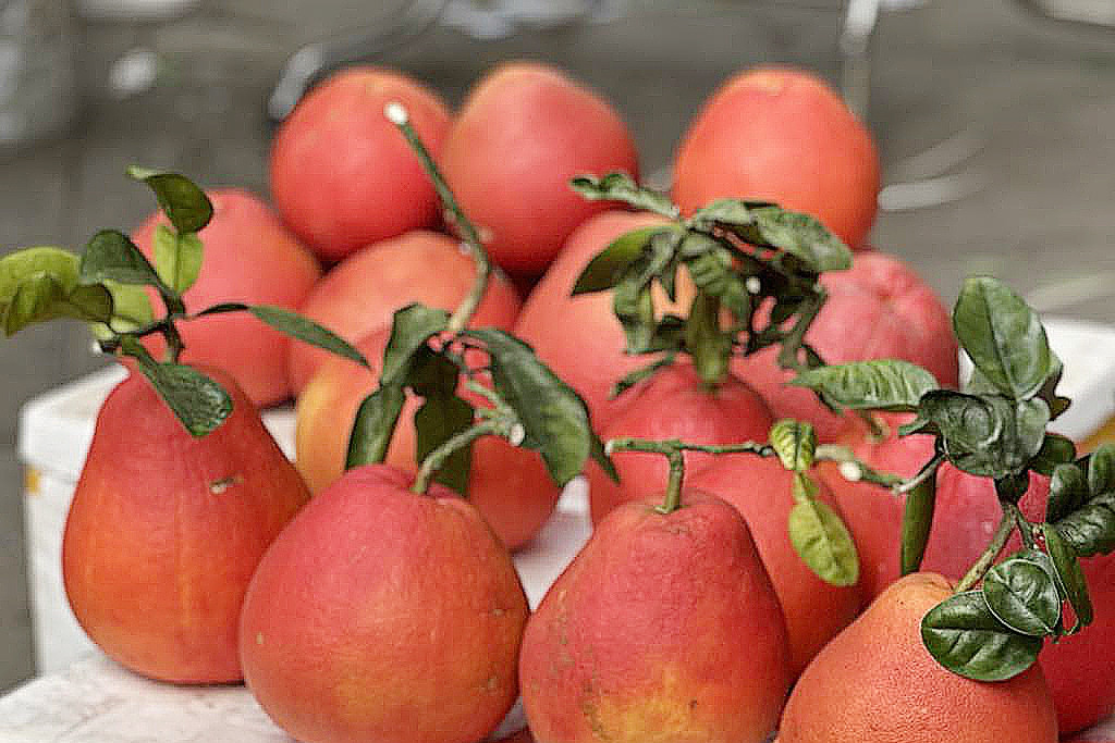 Người phụ nữ phải đi cấp cứu do ăn bưởi không đúng thời điểm